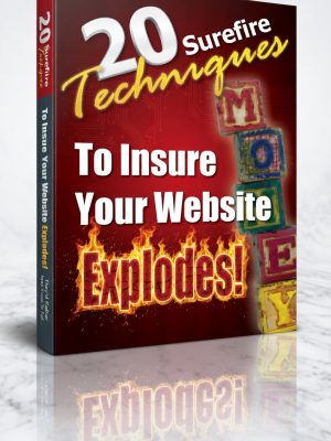 20 Surefire Techniques to Insure Your Website