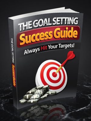 The Goal Setting Success Guide