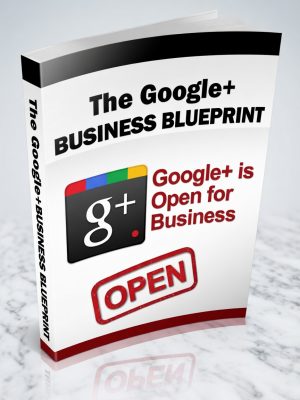 The Google+ Business Blueprint