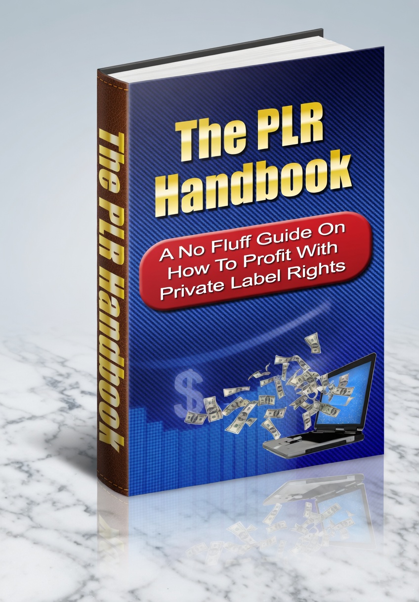 The PLR Handbook - Image 2