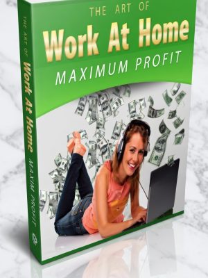 Work At Home Maximum Profits